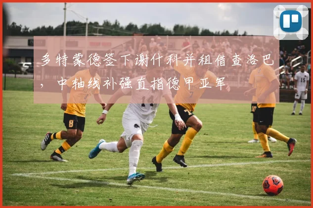 多特蒙德签下谢什科并租借查洛巴，中轴线补强直指德甲亚军